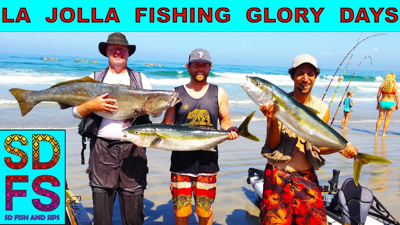 How I Learn to Catch Yellowtail in La Jolla - San Diego Kayak Fishing with Live Bait