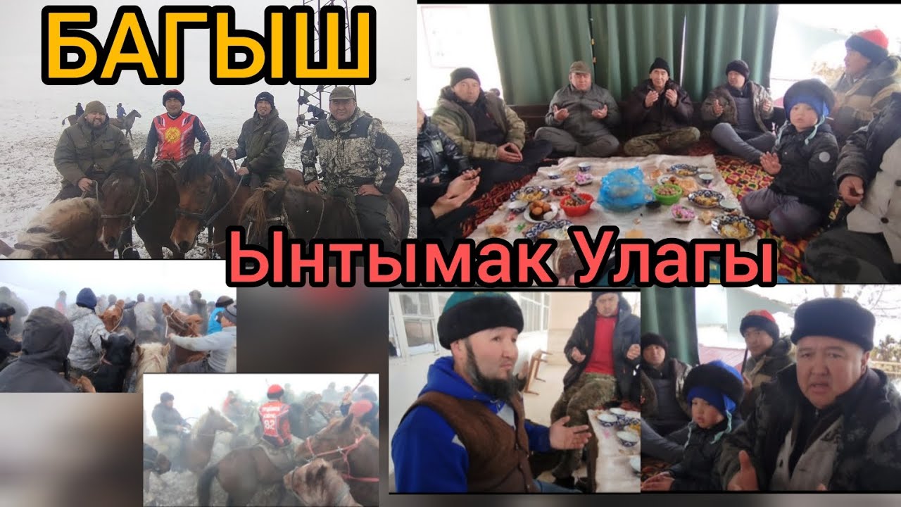 Багыш Ынтымак Улагы 🐎👍