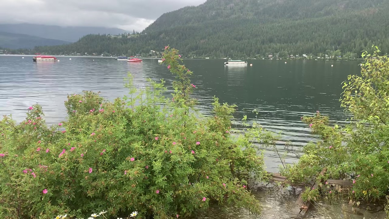 Columbia-Shuswap Lake, Chase BC