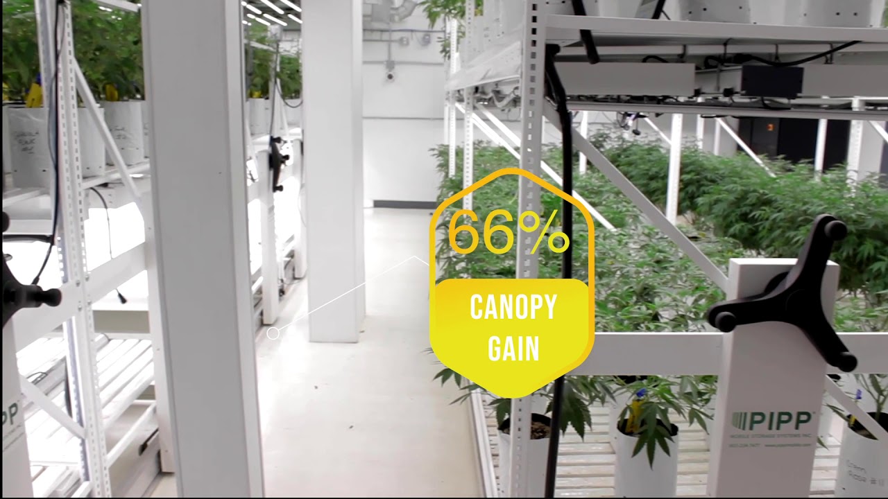 GROW Your Yield: Redbud Roots Story