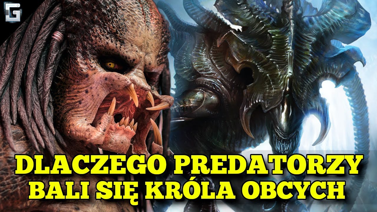 Dlaczego Predatorzy Bali się Kr&oacute;la Obcych?