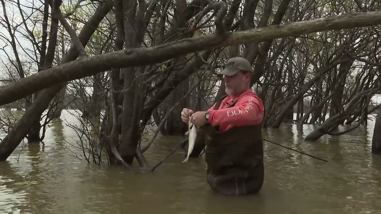 Wade Fishing for Crappie at Grenada Lake