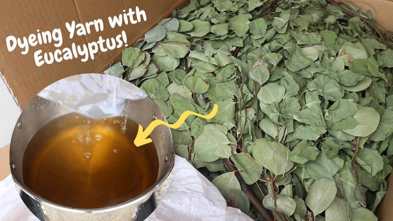Dyepot Weekly #222: Dyeing Yarn with Eucalyptus Leaves - First Attempt with No Mordant