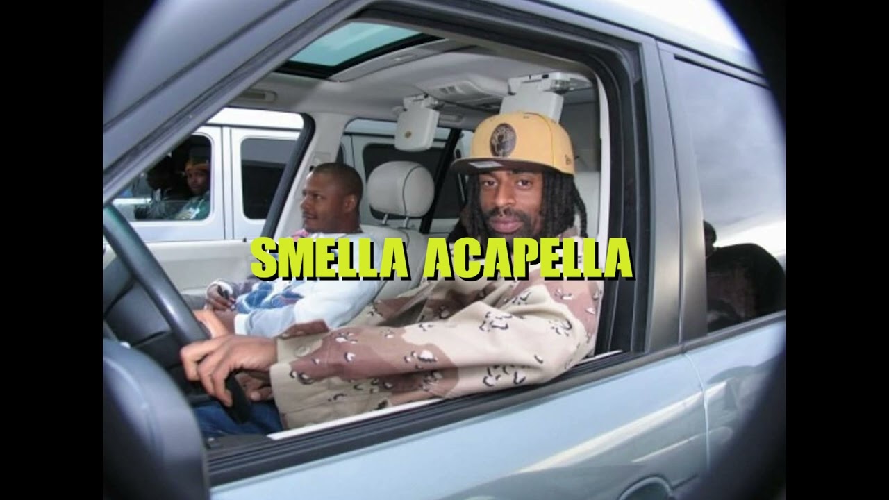 Mac Dre - All I Want To Do (98 BPM Acapella)
