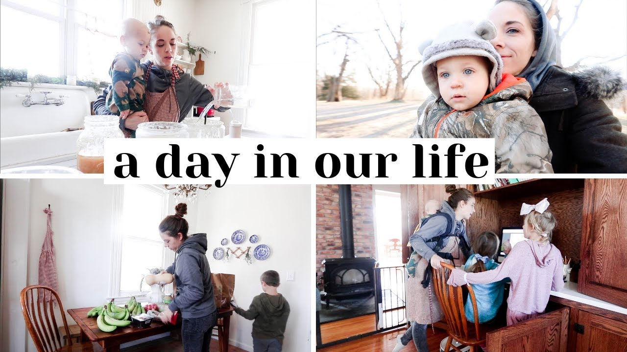 Grocery haul, Cook with me, Homeschool + The cow isn't pregnant :(