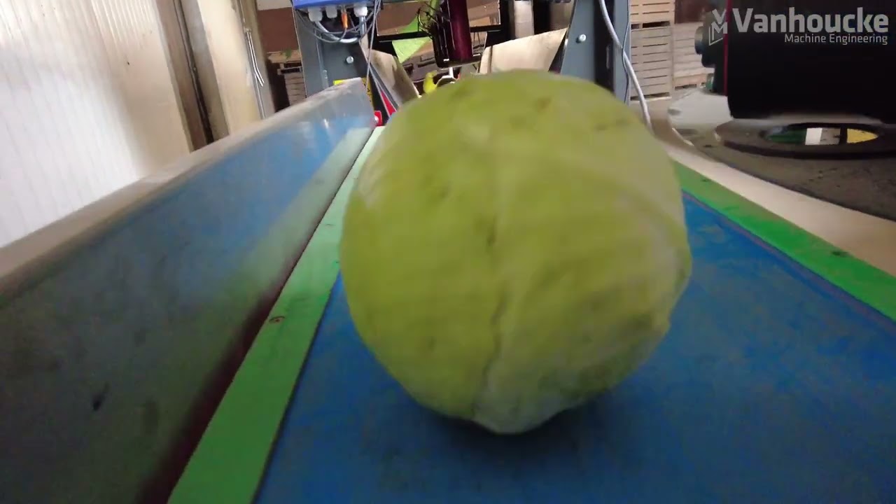 VASCO Brassica Cut + VASCO Brassica Clean #agriculture