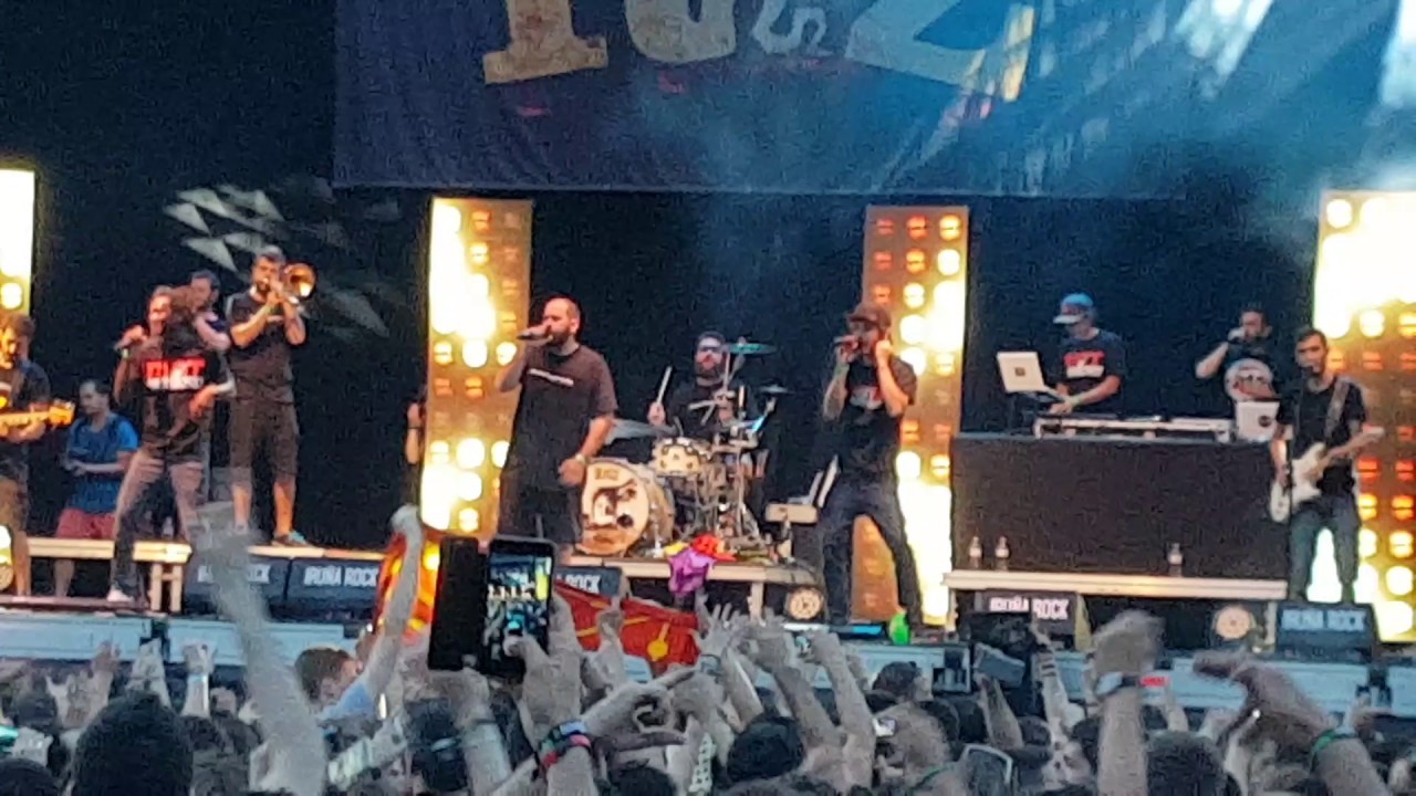 Elegire ----LA RAIZ
