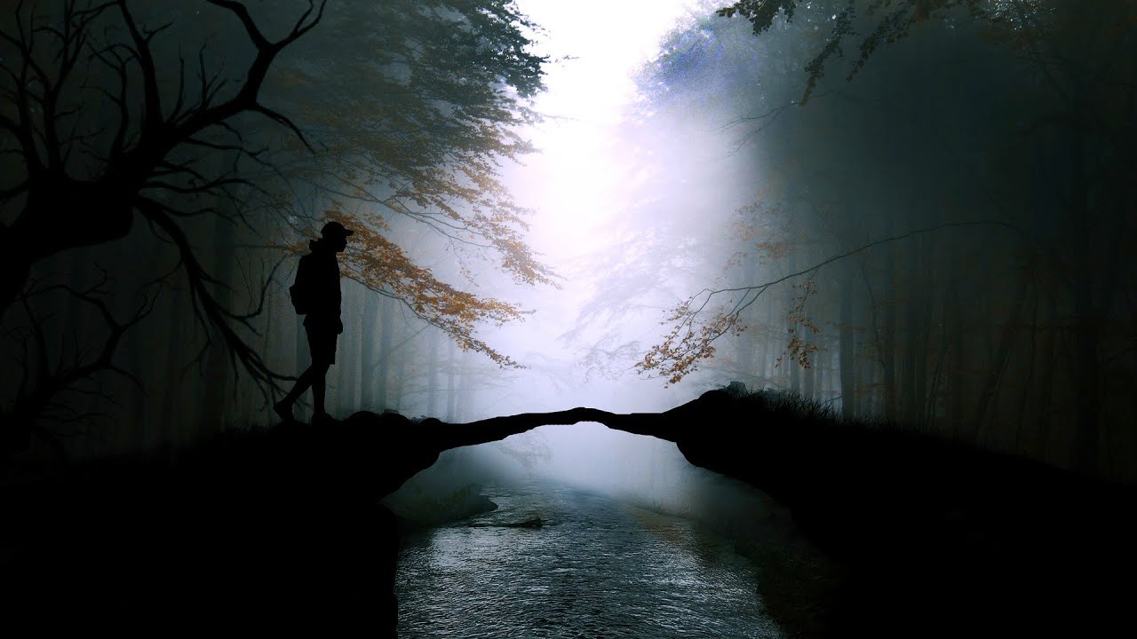 Sold my SONY · Woodland POV photography with photo gallery