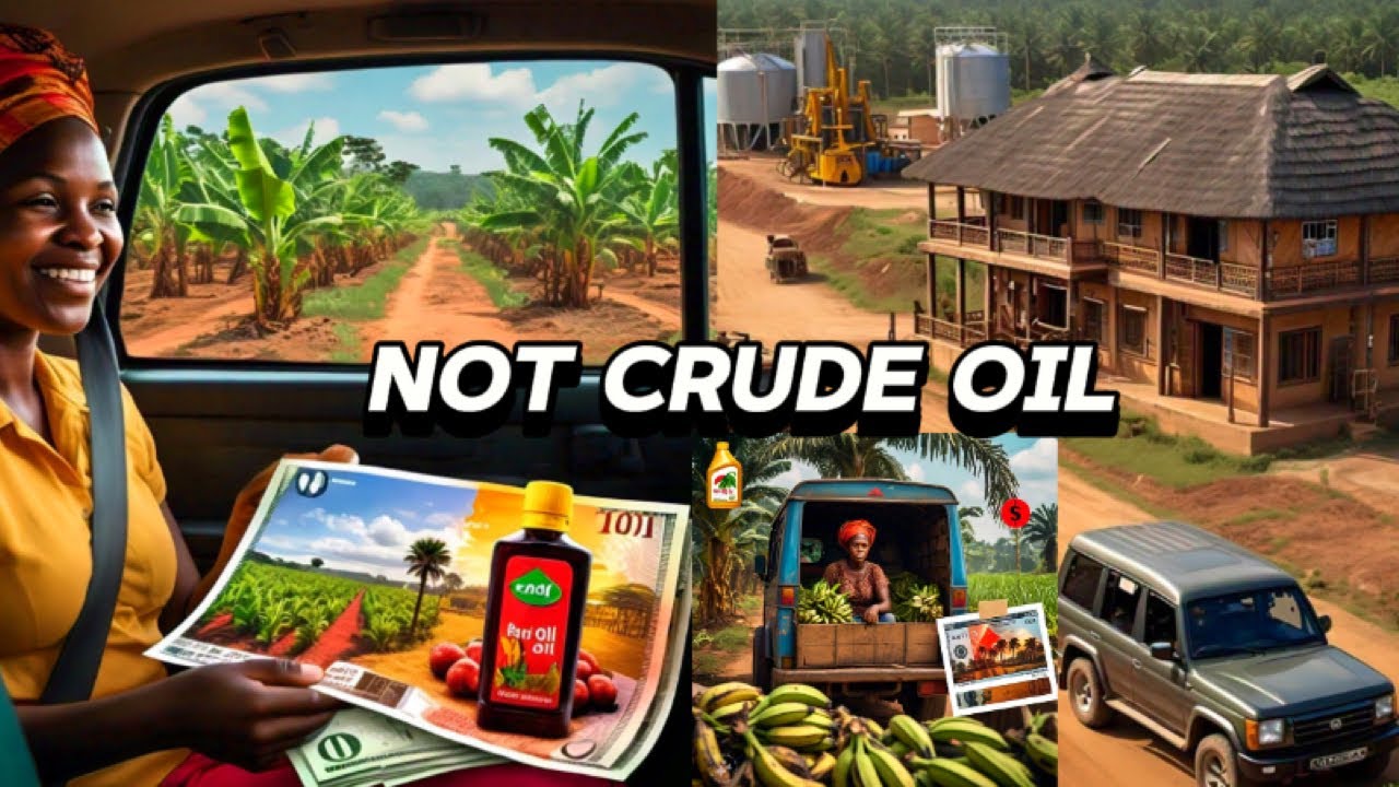 I discovered One Of The Booming Businesses In Bayelsa State, 🇳🇬 It’s Not Crude Oil