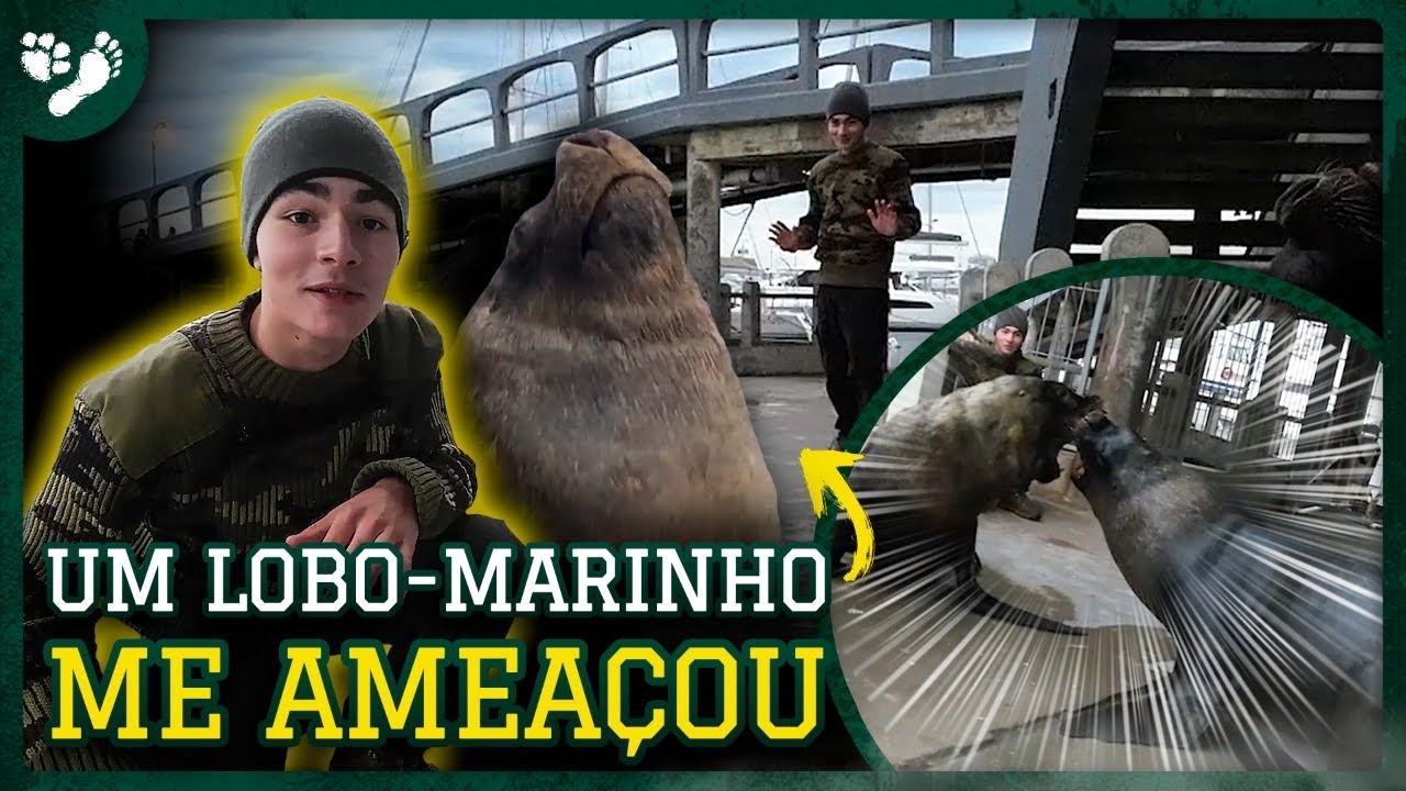 CONHECI OS ANIMAIS MAIS MALUCOS DO URUGUAI! TIAGO JÁCOMO