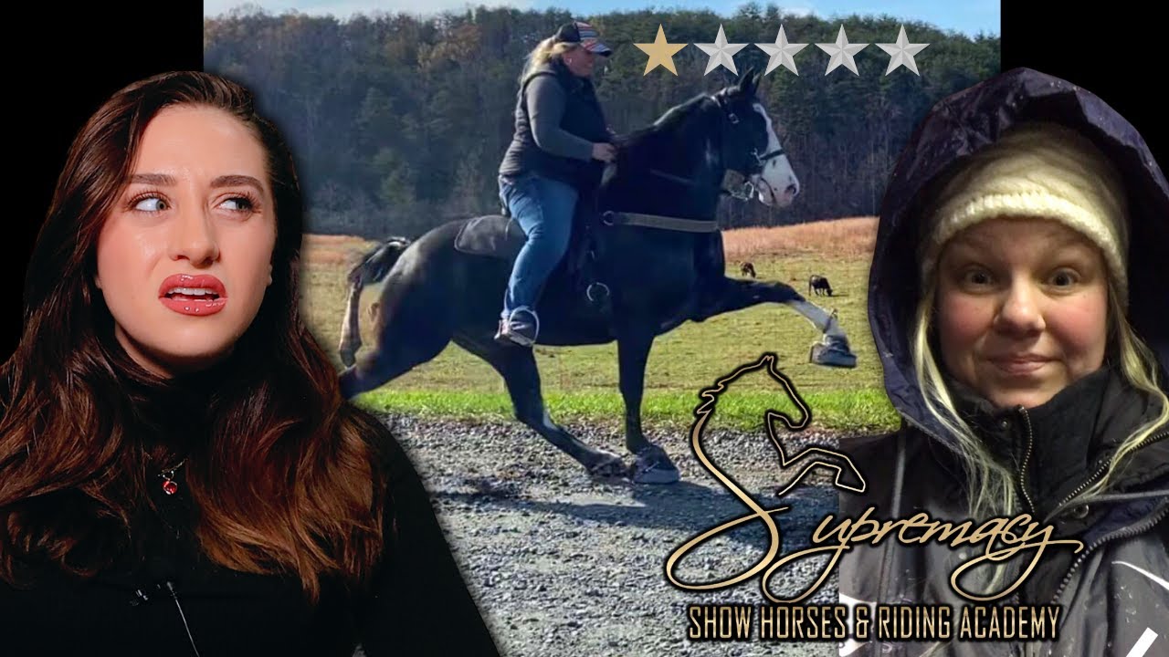 This Horse Riding Academy NEEDS TO BE STOPPED