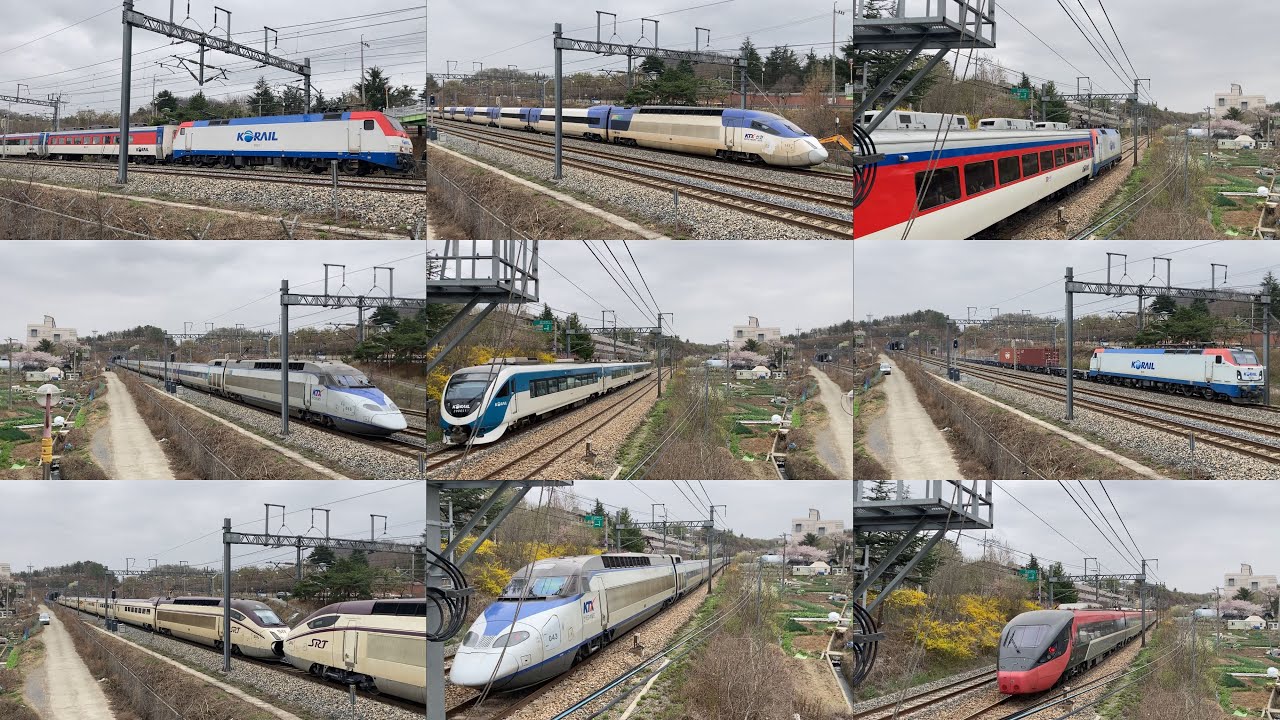 만촌육교를 지나가는 열차영상 모음