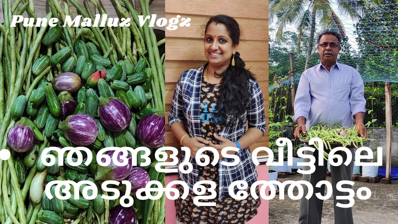 Adukkala thottam Malayalam | Kitchen Garden | Adukkalthottam malayalam tips in malayalam | Soumya