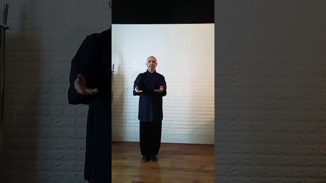 QI LIN QI GONG - Mouvement du métal.