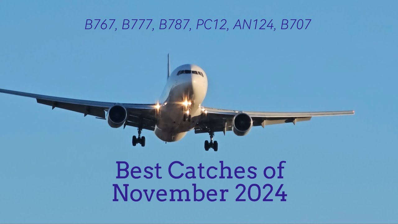 Best catches of November 2024