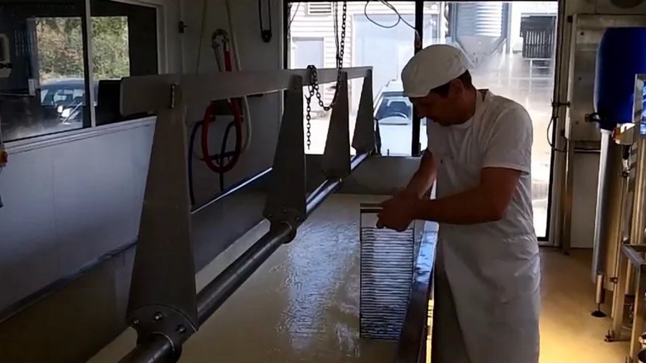 Hafod Cheddar Cheese: a video visit to Holden Farm