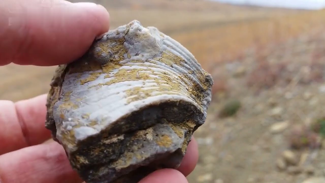 20 shocking discoveries in Africa that have amazed scientists