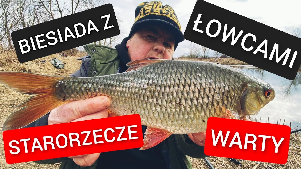 283 BIESIADA Z ŁOWCAMI I STARORZECZE WARTY ✌