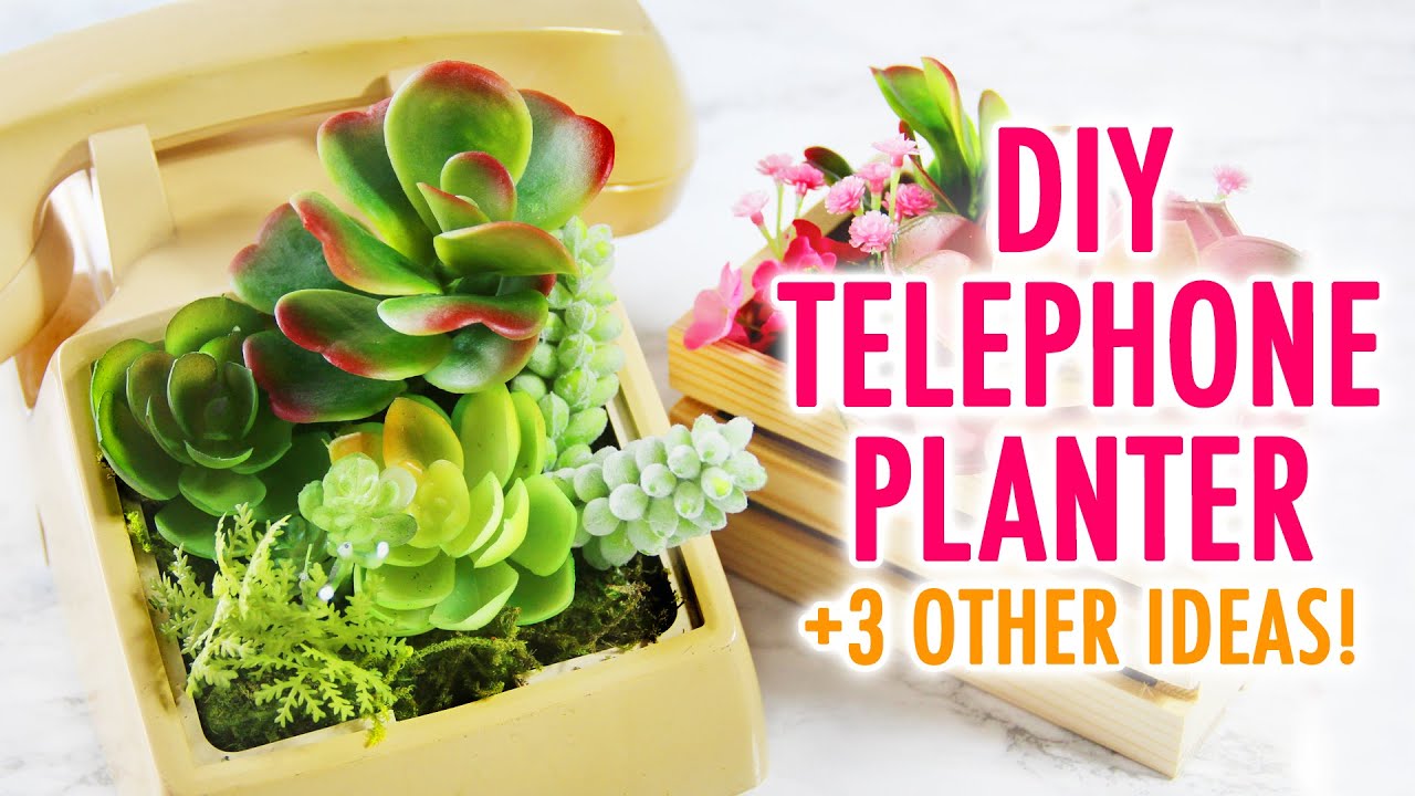 DIY Telephone Planter + 3 Other Planter Ideas for Spring! - HGTV Handmade