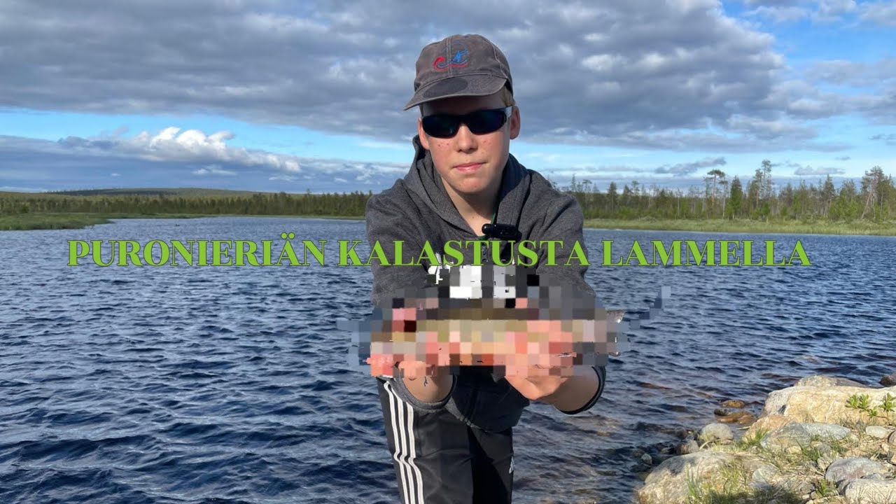 Puronieriän kalastusta lammella