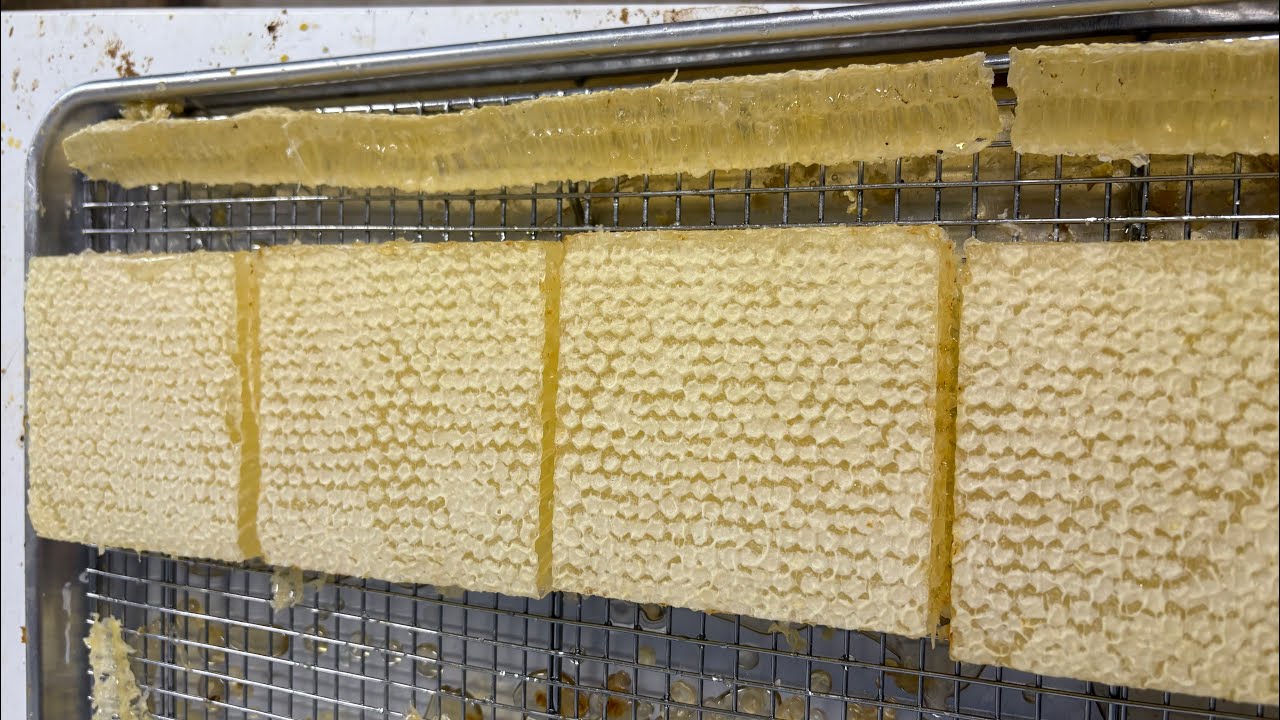 Harvesting cut comb honey, and getting cut comb ready for the state fair ￼