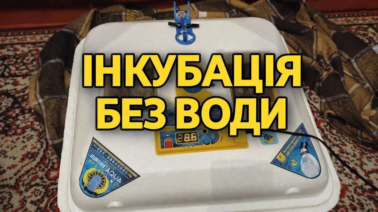 Сухий метод — найкращий спосіб інкубації яєць