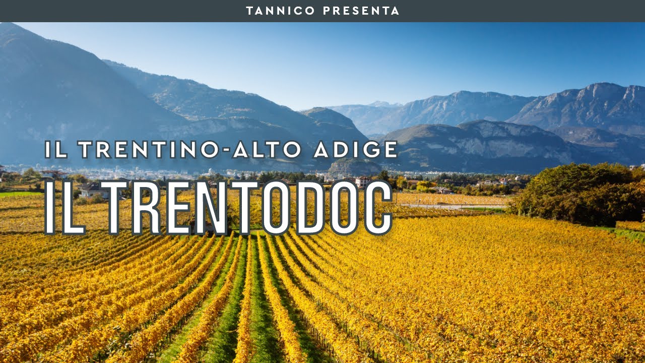 Trentodoc, il Metodo Classico del Trentino | Tannico Flying School