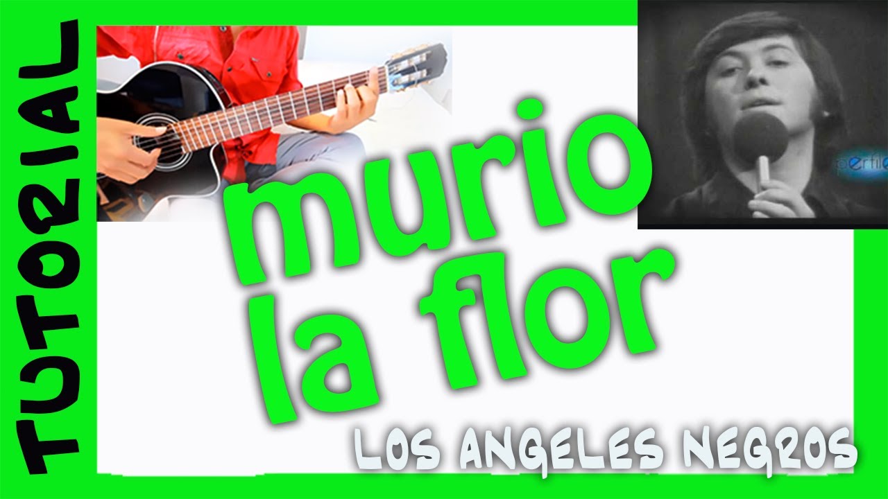 MURIO LA FLOR en Guitarra LOS ANGELES NEGROS Como tocar TUTORIAL