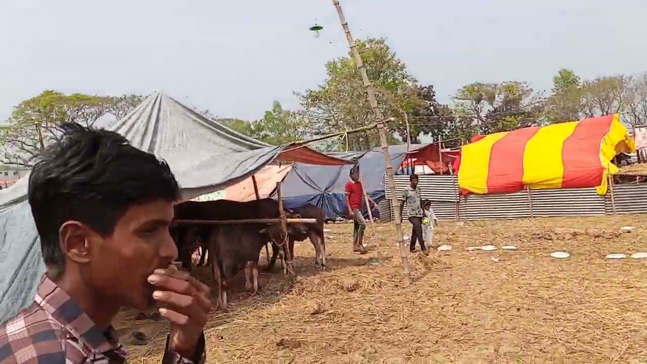 গোপিনাথপুর ঐতিহাসিক মেলা 🐃🐃🐃