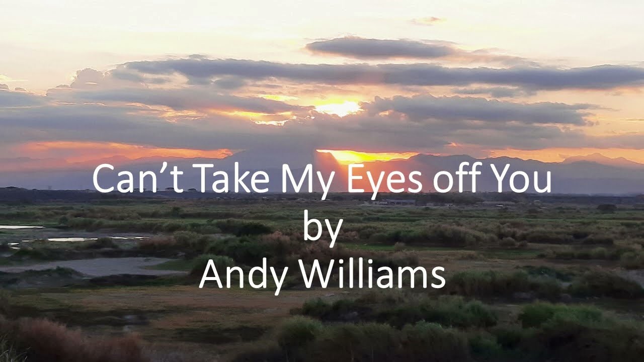 Andy Williams - Can't Take My Eyes off You