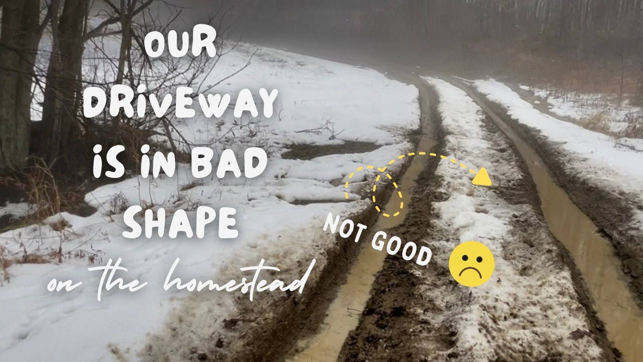 Our Driveway at the Homestead Needs Improvement