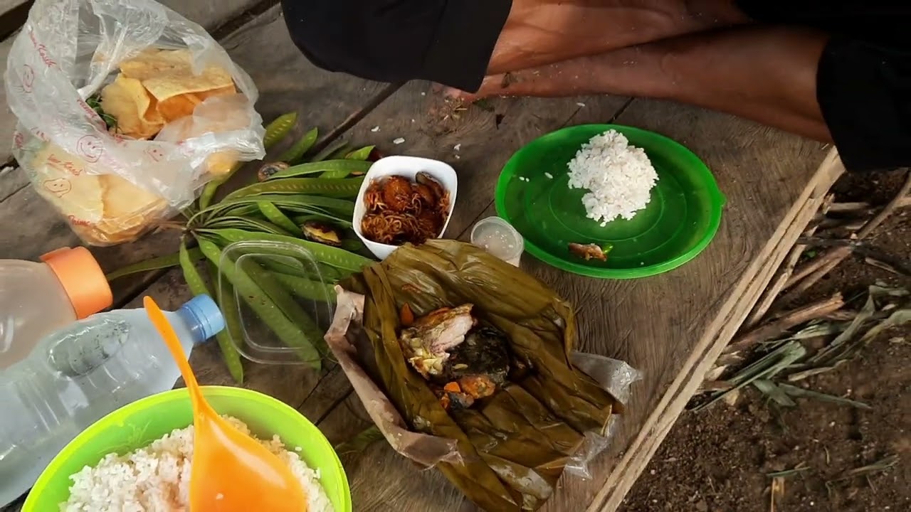 Di kebun nungguin padi