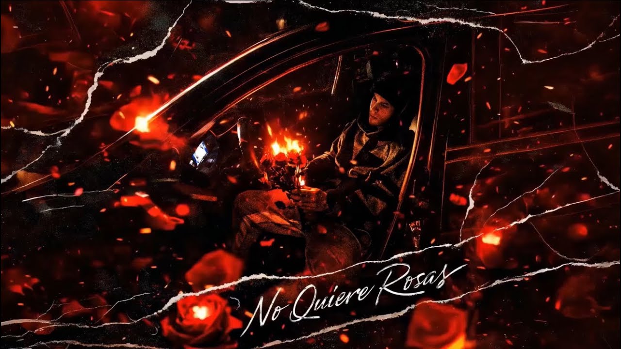 Velezeta - No Quiere Rosas (Visualizer) 