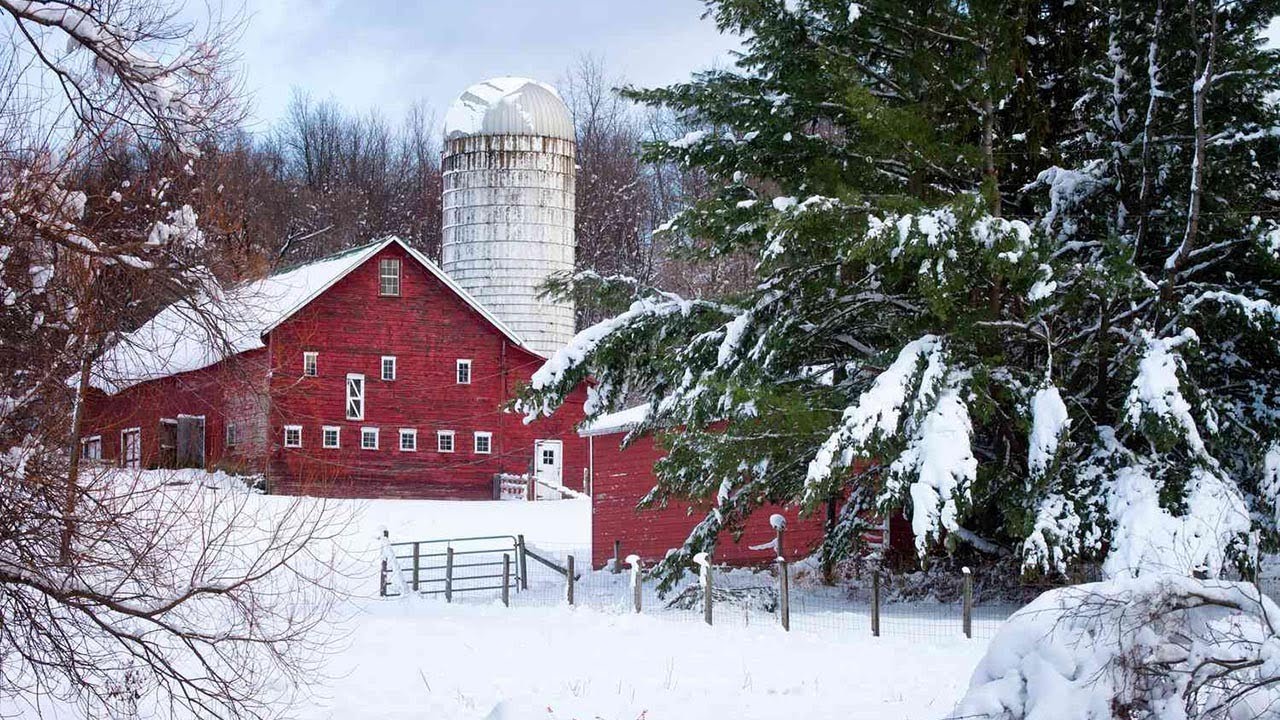 10 Signs We Have A Bad Winter Ahead &ndash; According To Folklore