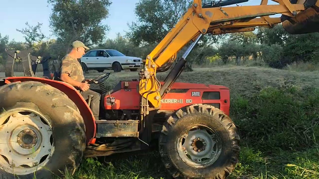 Los jabalíes casi me comen la huerta voy a cerrarla