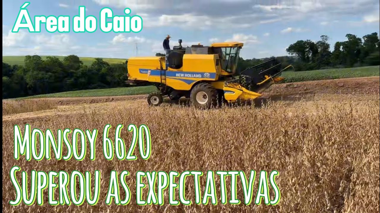 ✅ INÍCIO DA COLHEITA SAFRA 25/26 