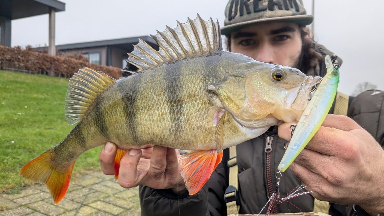 PB geknackt 🤯: Mit Baitcast und Twitchbaits auf fette Winterbarsche am See. Tipps und Tricks 👀👀