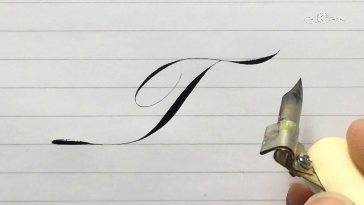 The Letter T in an 'Italian' Style Accented Engrosser's / Roundhand Pointed Pen Calligraphy Script