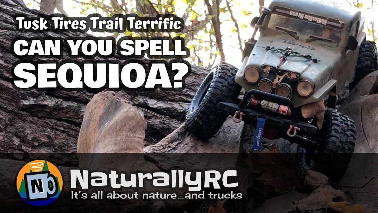 Are JConcepts Tusk Tires The Number One Best RC Crawler Tire In The Woods?