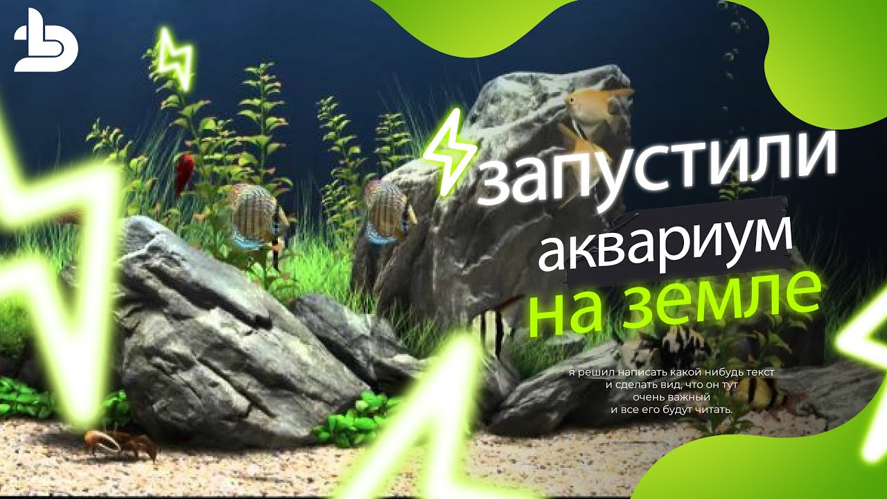Запуск аквариума на земле с нуля