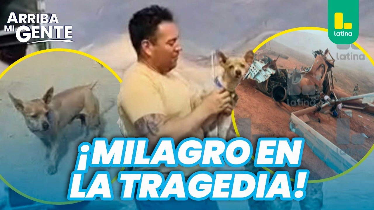 Perrito fue el único sobreviviente tras caída de helicóptero de la FAP | Arriba Mi Gente 🐶🚁