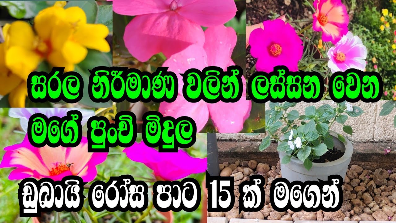සරල නිර්මාණ වලින් ලස්සන වෙන මගේ මිදුල @ Irani's diary 