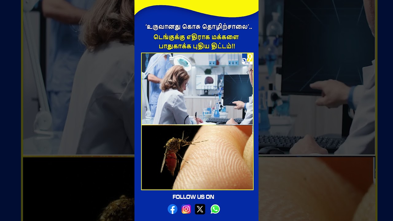 &lsquo;உருவானது கொசு தொழிற்சாலை&rsquo;.. டெங்குக்கு எதிராக மக்களை பாதுகாக்க புதிய திட்டம்!! -TV9