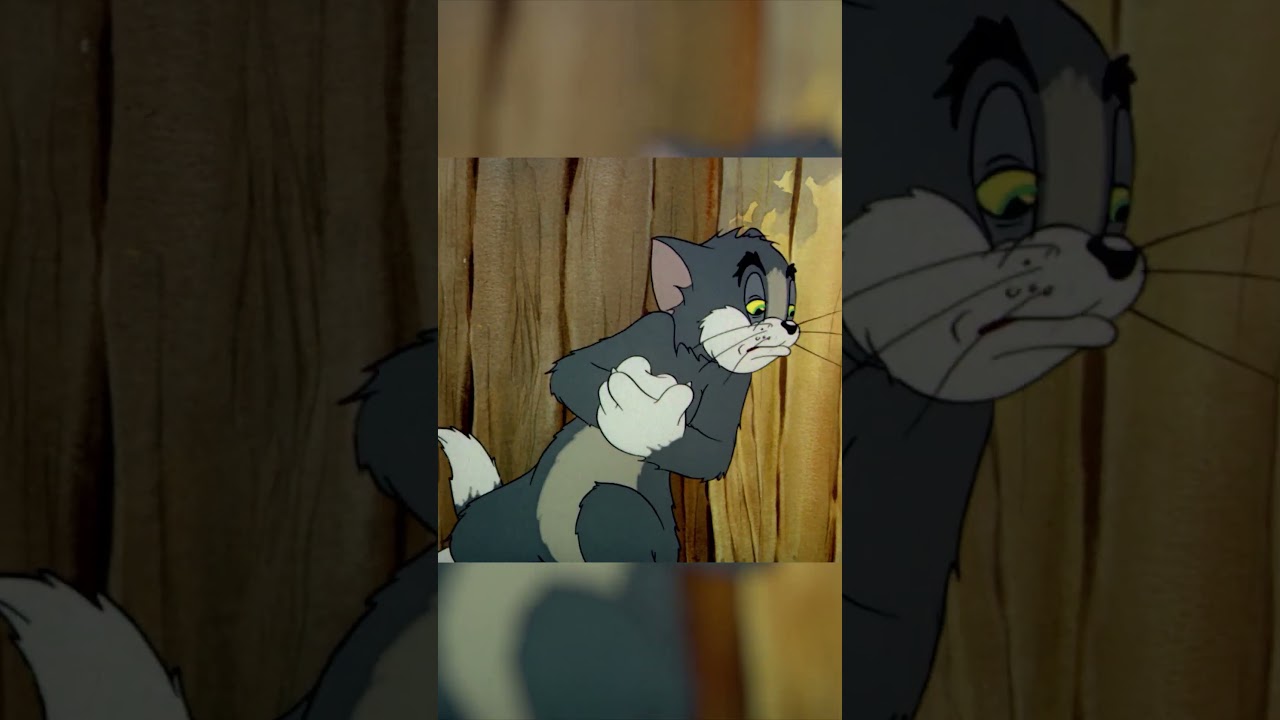 Mama Chicken to the Rescue 🐥 