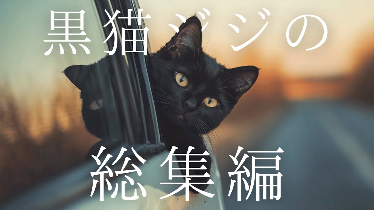 黒猫ジジのショートまとめ🐾