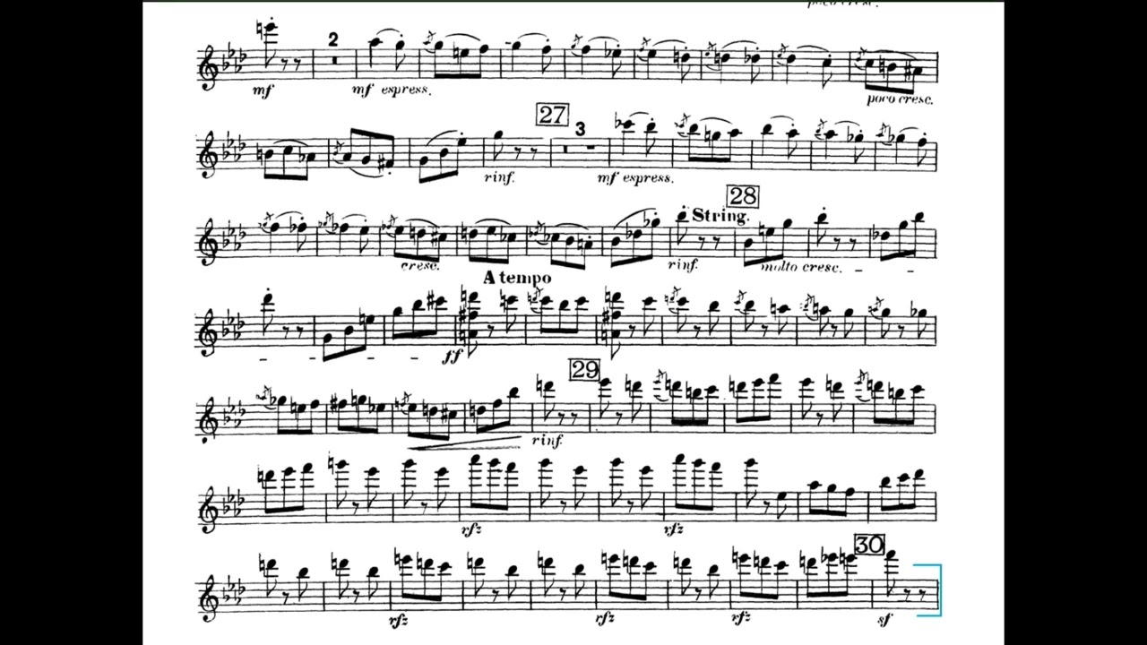 TMEA Violin Excerpts (Score) Listening Guide