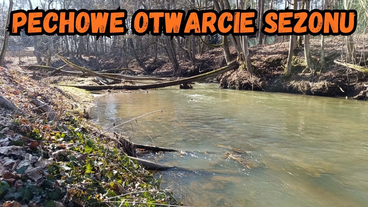 SPINNINGOWE OTWARCIE SEZONU 2026 DELIKATNY SPINNING na DZIKIEJ RZECE #fishing #spinning