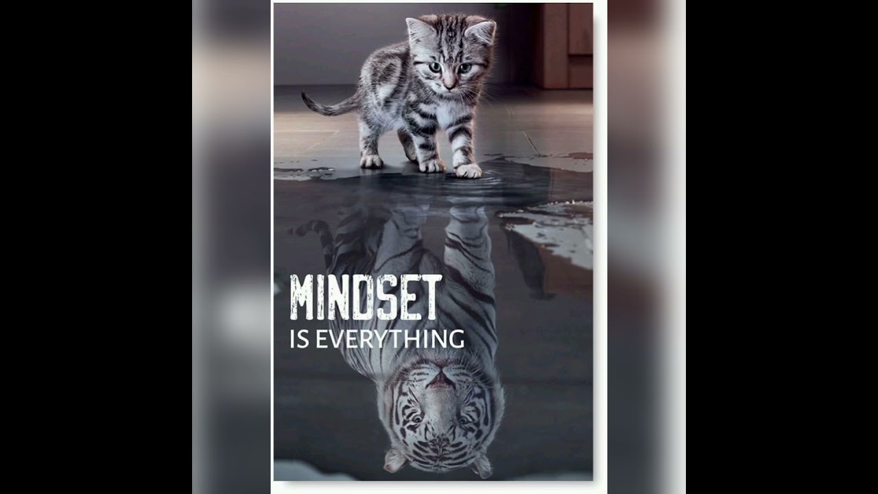 How Your Mindset Shapes Your Life #lifeisbutadream #motivation #MindsetIsEverything