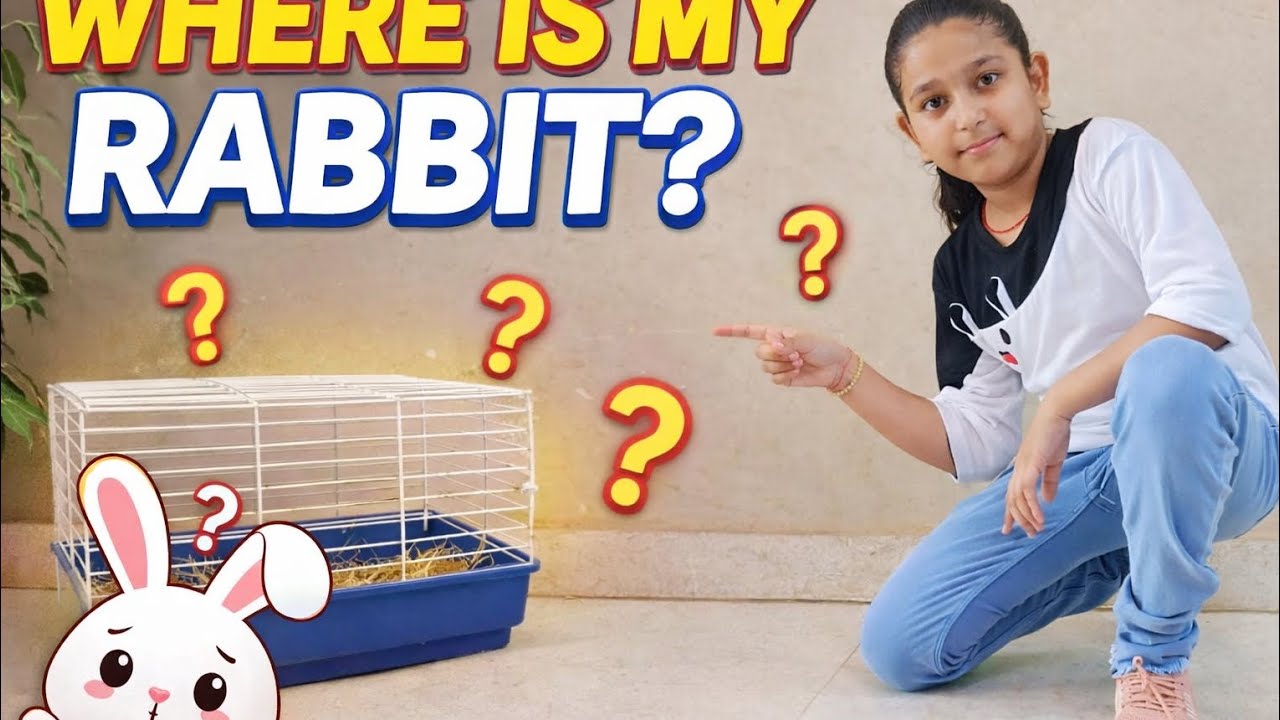 Where is my rabbit for MD WOW 