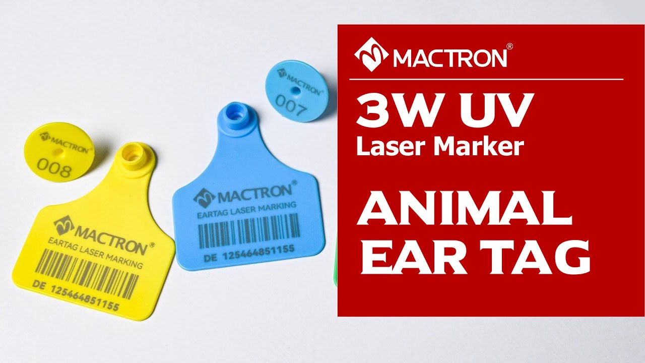 Mactron Laser | Animal Ear Tag Marking 3W UV Laser Marking Machine